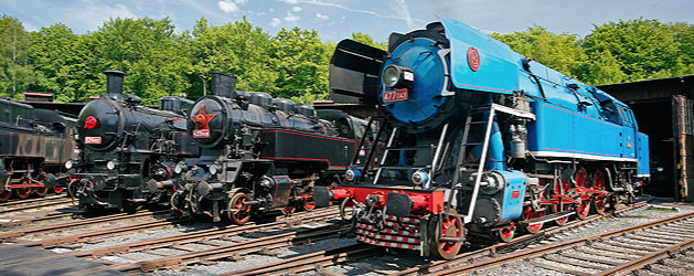 Logo nebo úvodní obrázek